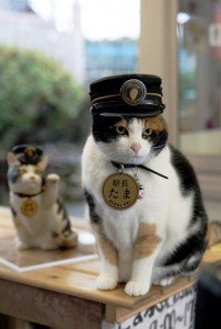 station-master-tama-2